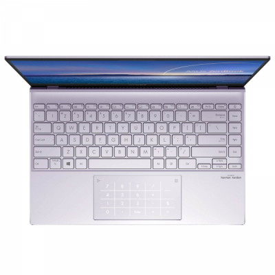 ASUS ZenBook 14 UX425JA (UX425JA-BM003T)