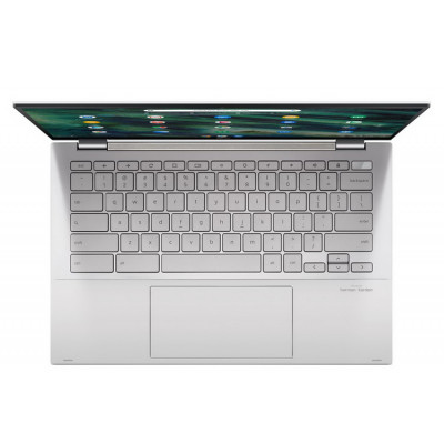 ASUS Chromebook Flip C436FA (C436FA-DS388T)
