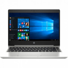 HP ProBook 445 G7 Silver (7RX18AV_V2)