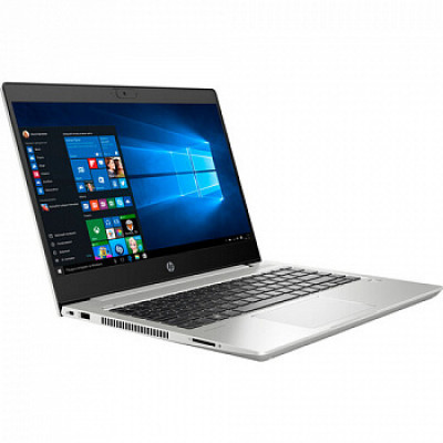 HP ProBook 445 G7 Silver (7RX16AV_V3)