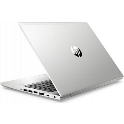 HP ProBook 445 G7 Silver (7RX16AV_V4)