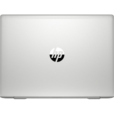 HP ProBook 445 G7 Silver (7RX16AV_V3)