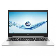 HP ProBook 450 G6 Silver (4SZ43AV_V4)