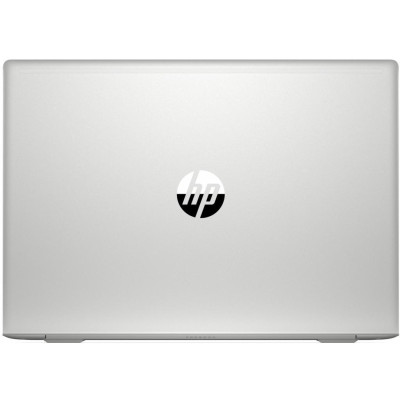 HP ProBook 450 G6 Silver (4SZ43AV_V4)