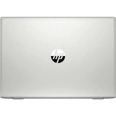 HP ProBook 450 G6 Silver (4SZ47AV_V8)