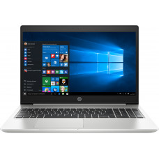 HP ProBook 450 G6 Silver (6HL94EA)