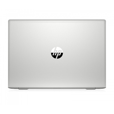 HP ProBook 450 G6 Silver (4TC94AV)