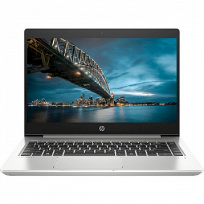HP ProBook 450 G7 Silver (6YY21AV_V13)