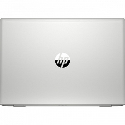 HP ProBook 450 G7 Silver (6YY21AV_ITM1)