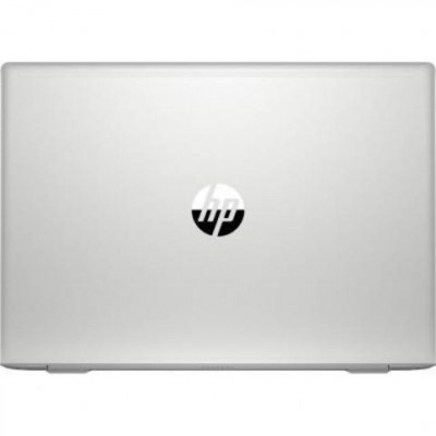 HP Probook 455 G7 Silver (2D239EA)