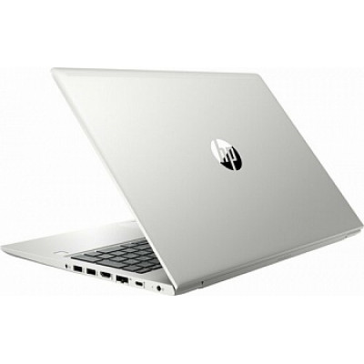 HP ProBook 455 G7 Pike Silver (7JN03AV_V8)