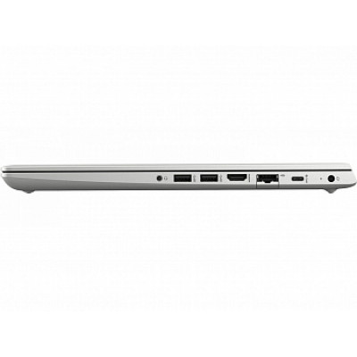 HP ProBook 455 G7 Silver (7JN03AV_V9)
