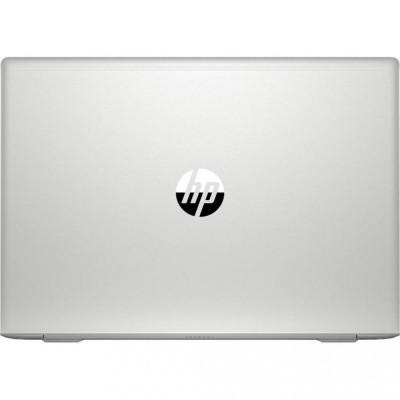 HP ProBook 450 G8 Silver (1A890AV_V2)