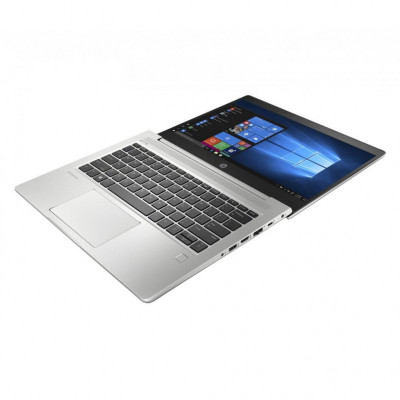 HP ProBook 450 G6 Silver (4SZ45AV_V16)