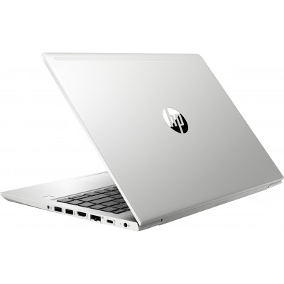 HP ProBook 450 G6 (4SZ43AV_V19)