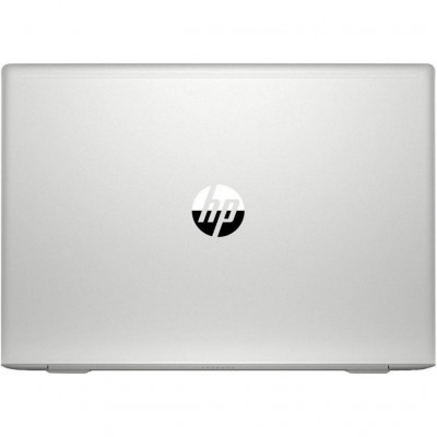 HP ProBook 450 G6 Silver (4SZ45AV_V1)
