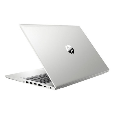 HP ProBook 450 G6 Silver (4SZ45AV_V1)