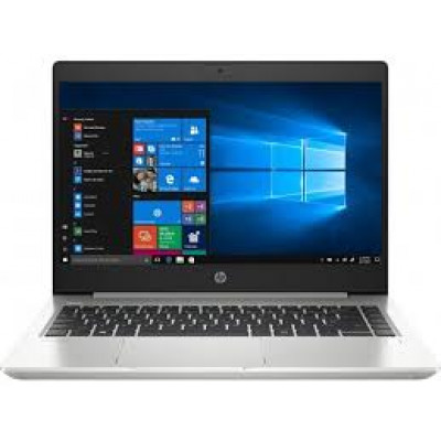 HP ProBook 455 G7 Silver (7JN02AV_V1)