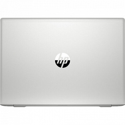 HP ProBook 455 G7 Silver (7JN02AV_V1)
