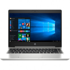 HP ProBook 445 G7 Silver (7RX17AV_V2)