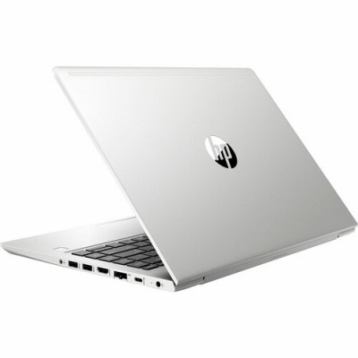 HP ProBook 445R G6 Silver (5UN07AV_V5)