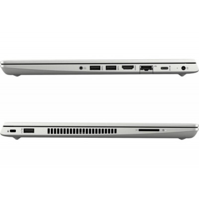 HP ProBook 445R G6 Silver (5SN63AV_V11)