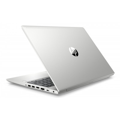 HP ProBook 450 G6 Silver (6BN80EA)