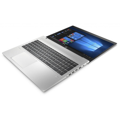 HP ProBook 450 G6 Silver (5PP64EA)