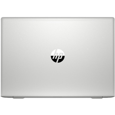 HP ProBook 450 G6 Silver (5PP64EA)