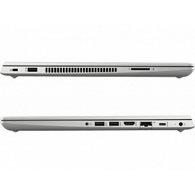 HP ProBook 455R G6 Silver (7HW14AV_V4)