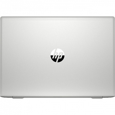 HP ProBook 450 G7 Silver (6YY21AV_V2)