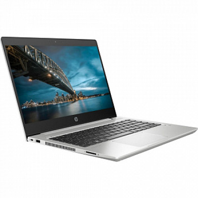 HP ProBook 450 G7 Silver (8MH53EA)