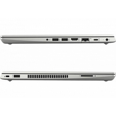 HP ProBook 445R G6 Silver (5SN63AV_V6)