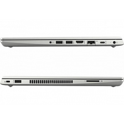 HP ProBook 445R G6 Silver (7HW15AV_V4)