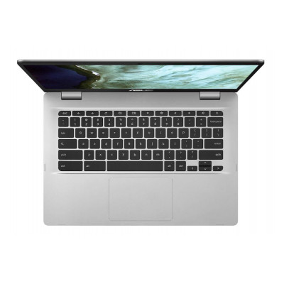 ASUS Chromebook C423NA (C423NA-WB04)