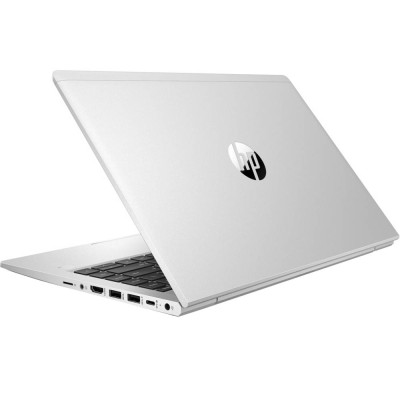 HP ProBook 445 G8 Pike Silver (2U742AV_V2)
