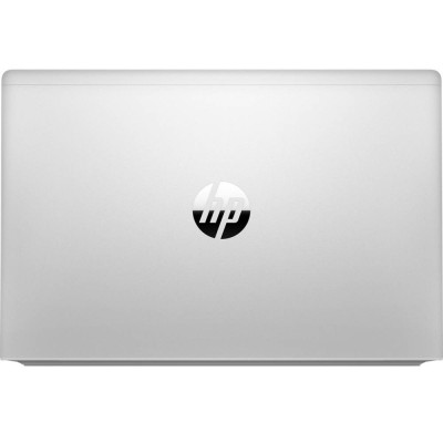 HP ProBook 445 G8 Pike Silver (2U742AV_V1)