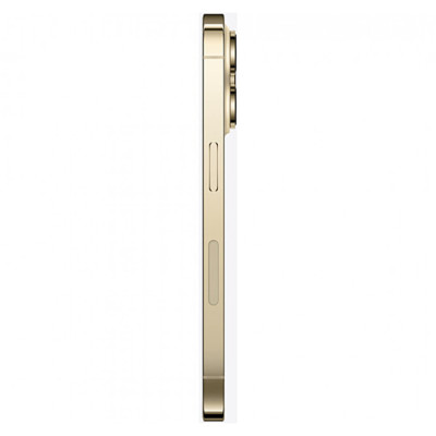 Apple iPhone 14 Pro 256GB eSIM Gold (MQ163)