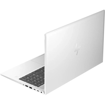 HP EliteBook 650 G10 Silver (736V5AV_V2)