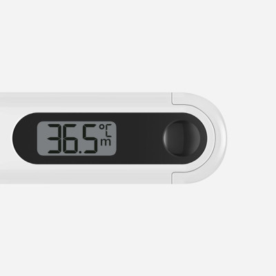 Термометр Xiaomi Electronic Thermometer White (6970532560096)