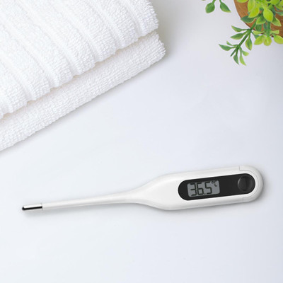 Термометр Xiaomi Electronic Thermometer White (6970532560096)
