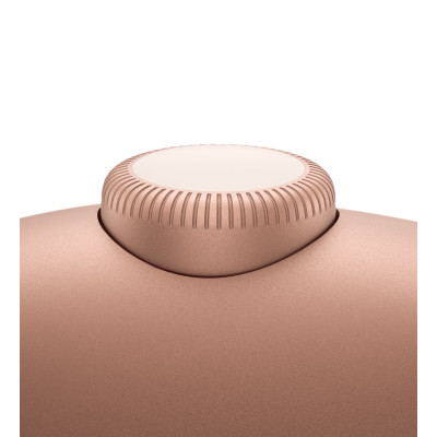 Apple AirPods Max Orange (MWW73)