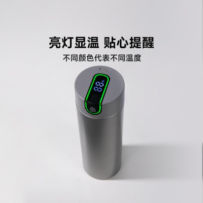 Умный Термос Xiaomi Youpin Qujia Pure Titanium Smart Thermos Cup Grey 450Ml (3295137)