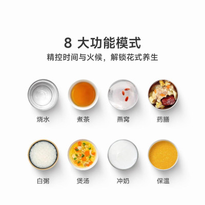 Электроочайник Xiaomi Mijia Multifunctional Health Pot S2 White (BHR8545CN)
