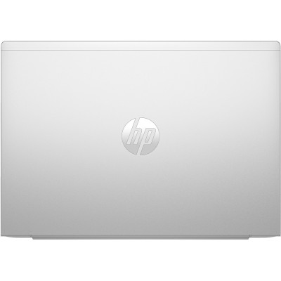 HP ProBook 465 G11 Pike Silver (901H4AV_V1)
