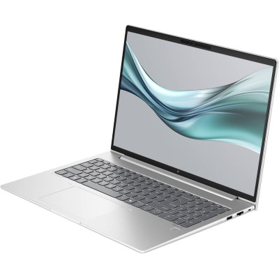 HP EliteBook 665 G11 Silver (8Z719AV_V3)