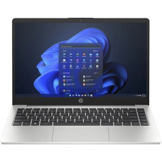 HP 245 G10 Turbo Silver (A3DU5ES)
