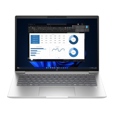 HP ProBook 445 G11 Pike Silver (8Z9P4AV_V1)