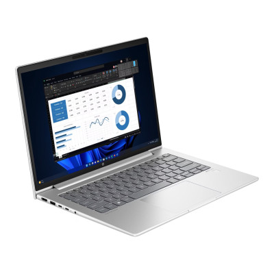 HP ProBook 445 G11 Pike Silver (8Z9P4AV_V1)