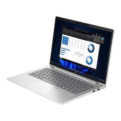 HP ProBook 445 G11 Pike Silver (8Z9P4AV_V1)